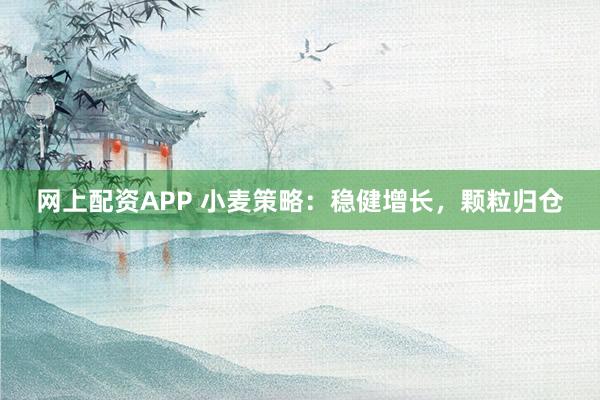 网上配资APP 小麦策略：稳健增长，颗粒归仓