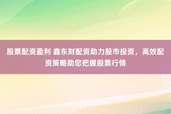 股票配资盈利 鑫东财配资助力股市投资，高效配资策略助您把握股票行情