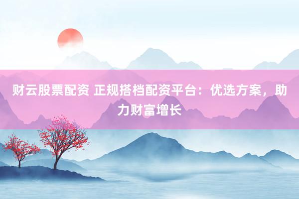 财云股票配资 正规搭档配资平台：优选方案，助力财富增长