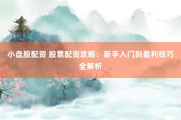 小盘股配资 股票配资攻略：新手入门到盈利技巧全解析